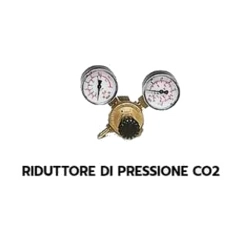 vendita online Regolatore di pressione co2 Riduttori di pressione Helvi Spa